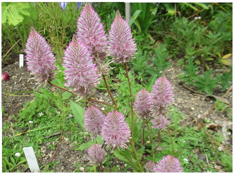 2022年(令和4年)6月13日